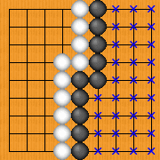 ���̐w�n